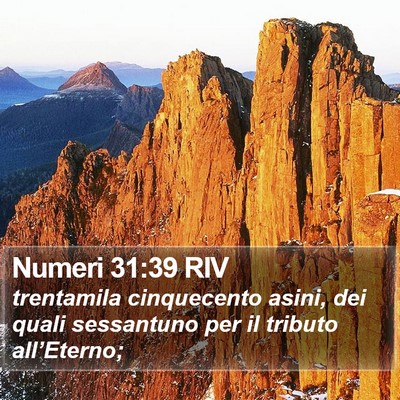 Numeri 31:39 RIV Bible Verse Image