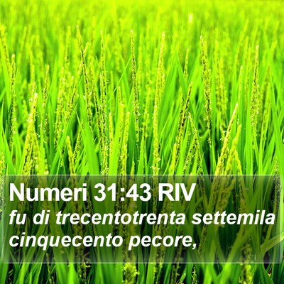 Numeri 31:43 RIV Bible Verse Image