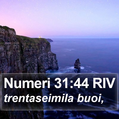 Numeri 31:44 RIV Bible Verse Image