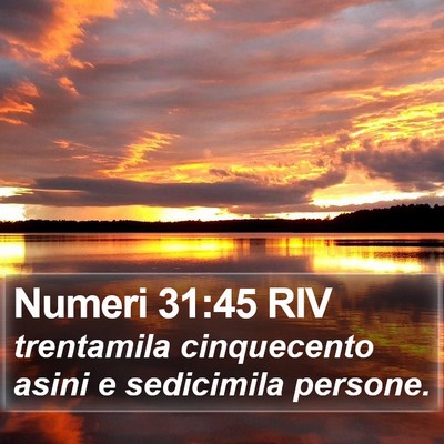 Numeri 31:45 RIV Bible Verse Image