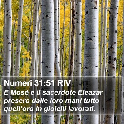 Numeri 31:51 RIV Bible Verse Image