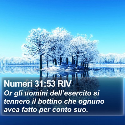 Numeri 31:53 RIV Bible Verse Image