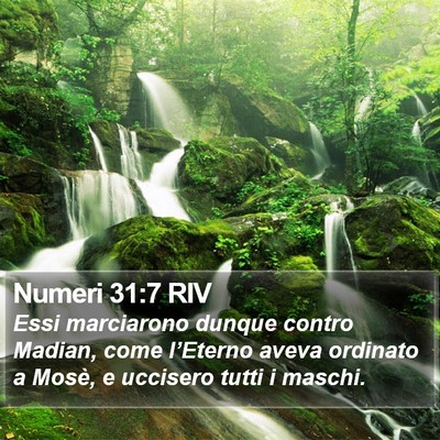 Numeri 31:7 RIV Bible Verse Image