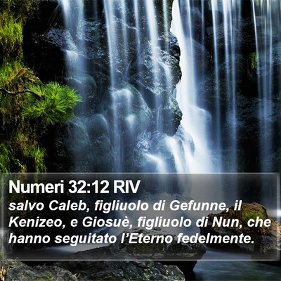 Numeri 32:12 RIV Bible Verse Image