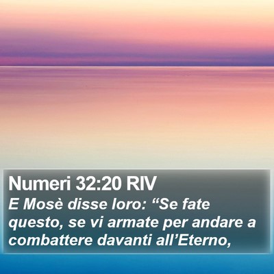 Numeri 32:20 RIV Bible Verse Image