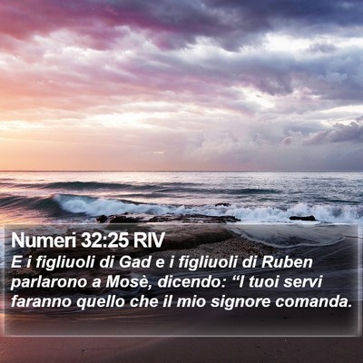Numeri 32:25 RIV Bible Verse Image