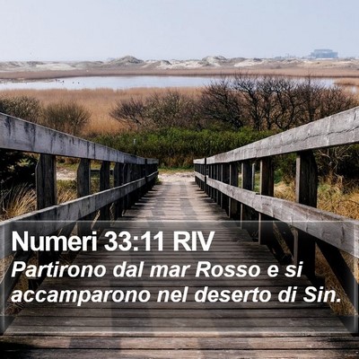 Numeri 33:11 RIV Bible Verse Image