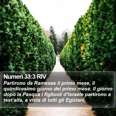 Numeri 33:3 RIV Bible Verse Image