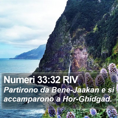 Numeri 33:32 RIV Bible Verse Image