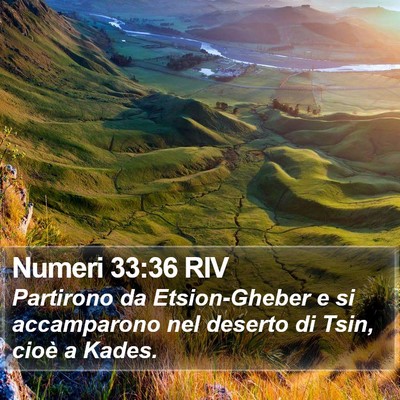 Numeri 33:36 RIV Bible Verse Image