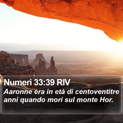 Numeri 33:39 RIV Bible Verse Image