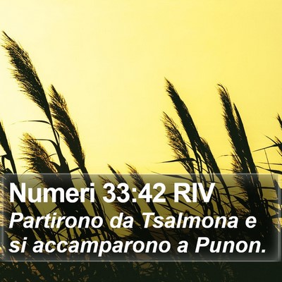 Numeri 33:42 RIV Bible Verse Image