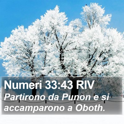 Numeri 33:43 RIV Bible Verse Image