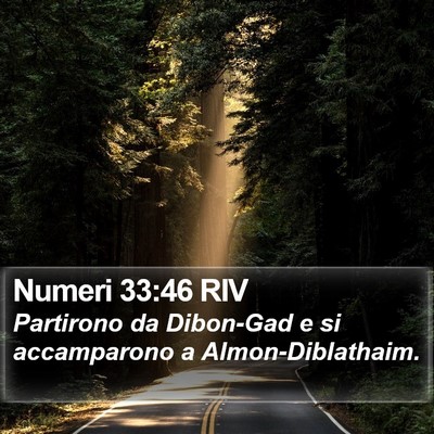 Numeri 33:46 RIV Bible Verse Image