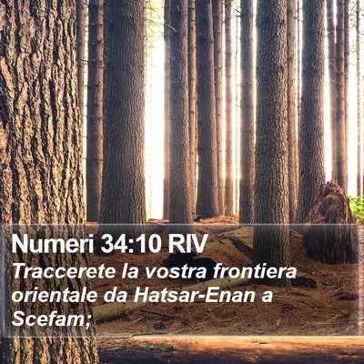 Numeri 34:10 RIV Bible Verse Image