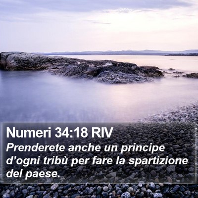 Numeri 34:18 RIV Bible Verse Image