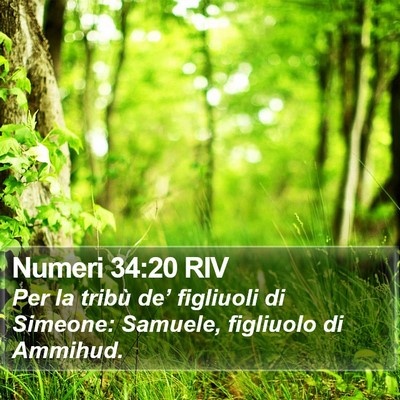 Numeri 34:20 RIV Bible Verse Image