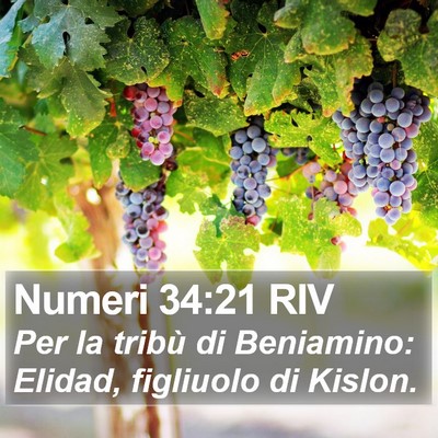 Numeri 34:21 RIV Bible Verse Image