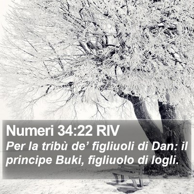 Numeri 34:22 RIV Bible Verse Image