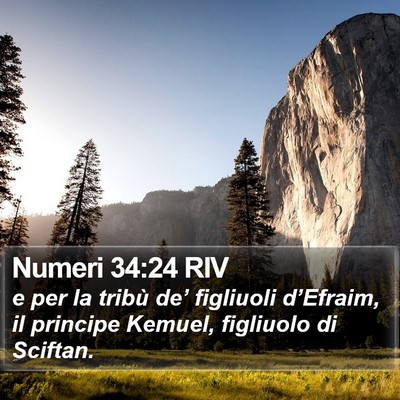 Numeri 34:24 RIV Bible Verse Image