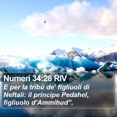 Numeri 34:28 RIV Bible Verse Image