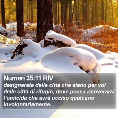 Numeri 35:11 RIV Bible Verse Image