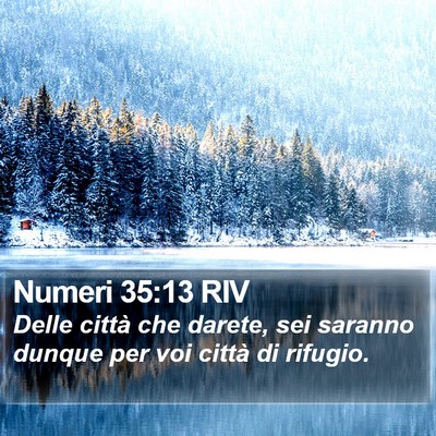 Numeri 35:13 RIV Bible Verse Image