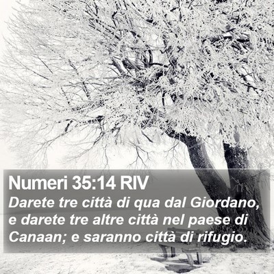 Numeri 35:14 RIV Bible Verse Image