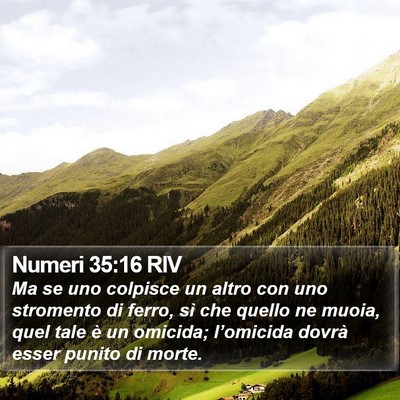 Numeri 35:16 RIV Bible Verse Image