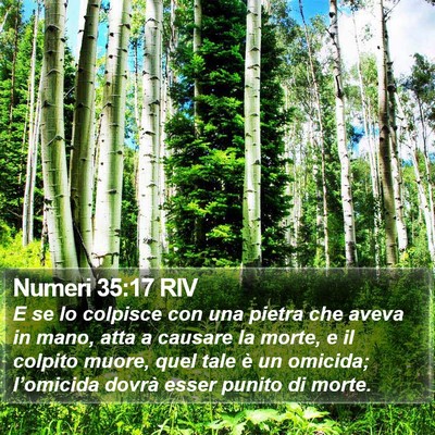 Numeri 35:17 RIV Bible Verse Image
