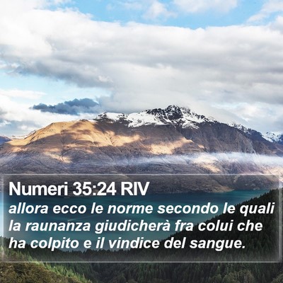 Numeri 35:24 RIV Bible Verse Image