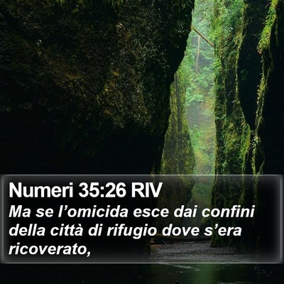 Numeri 35:26 RIV Bible Verse Image
