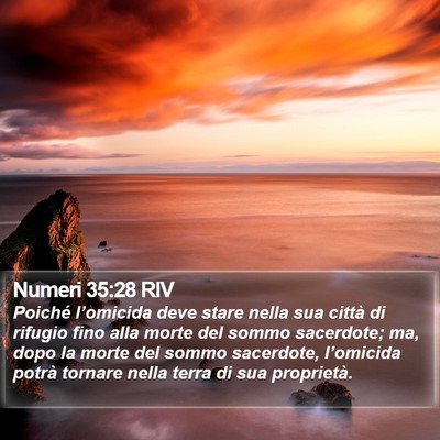 Numeri 35:28 RIV Bible Verse Image