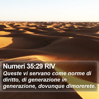 Numeri 35:29 RIV Bible Verse Image