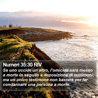 Numeri 35:30 RIV Bible Verse Image