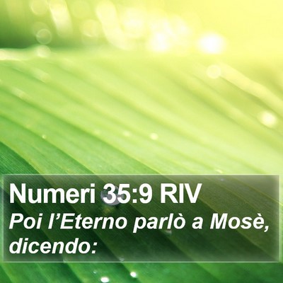 Numeri 35:9 RIV Bible Verse Image