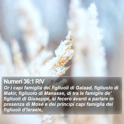 Numeri 36:1 RIV Bible Verse Image
