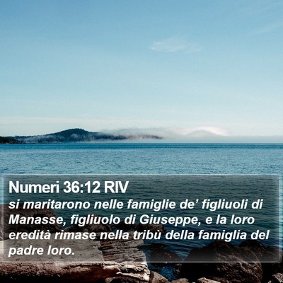 Numeri 36:12 RIV Bible Verse Image