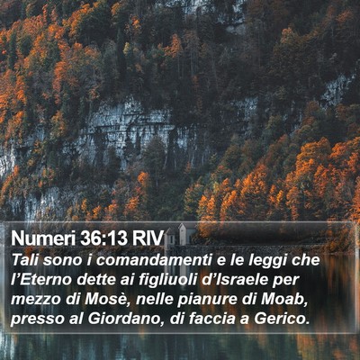 Numeri 36:13 RIV Bible Verse Image