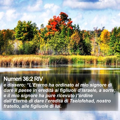 Numeri 36:2 RIV Bible Verse Image