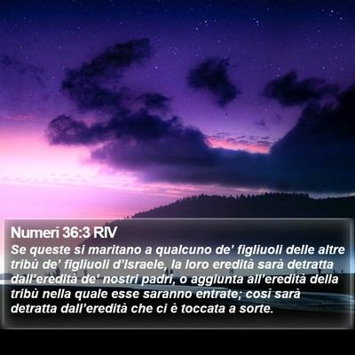 Numeri 36:3 RIV Bible Verse Image