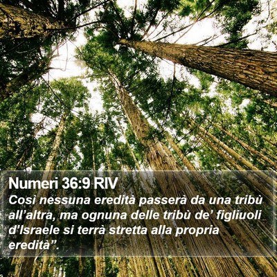 Numeri 36:9 RIV Bible Verse Image