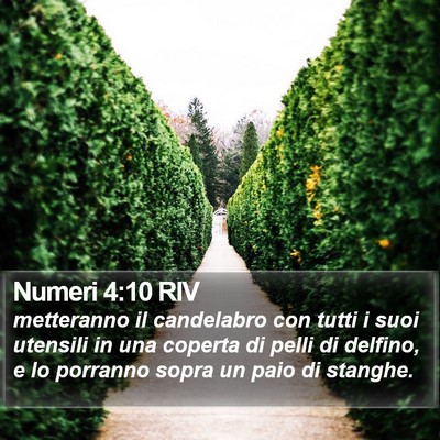 Numeri 4:10 RIV Bible Verse Image