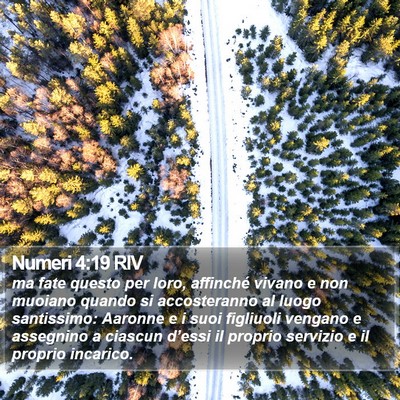 Numeri 4:19 RIV Bible Verse Image