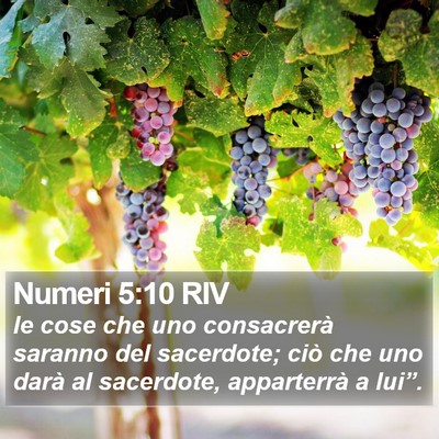 Numeri 5:10 RIV Bible Verse Image