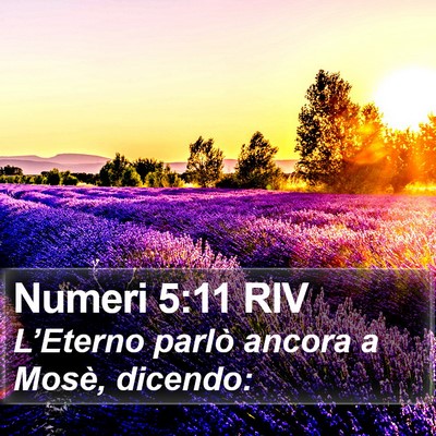 Numeri 5:11 RIV Bible Verse Image