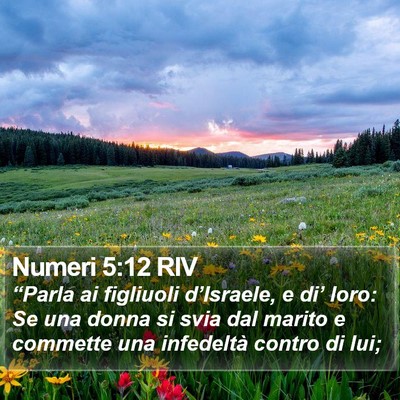 Numeri 5:12 RIV Bible Verse Image