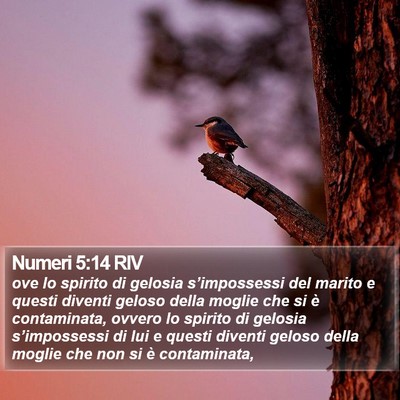 Numeri 5:14 RIV Bible Verse Image