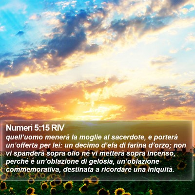 Numeri 5:15 RIV Bible Verse Image