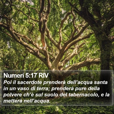 Numeri 5:17 RIV Bible Verse Image